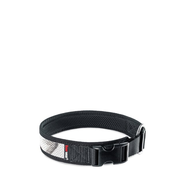 Hunde-Halsband Timmy L 45-50 cm