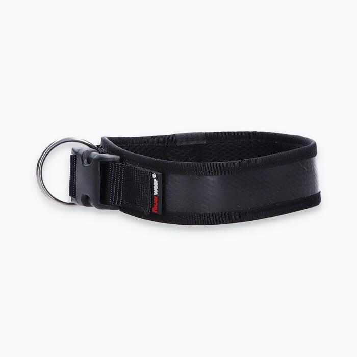 Hunde-Halsband Timmy L 45-50 cm - ht45400116