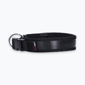 Hunde-Halsband Timmy L 45-50 cm - ht45400118